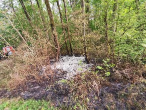 Gašenje požara Drenovac Jošava 4